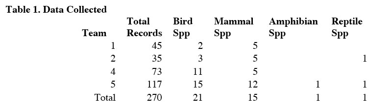 Table 1