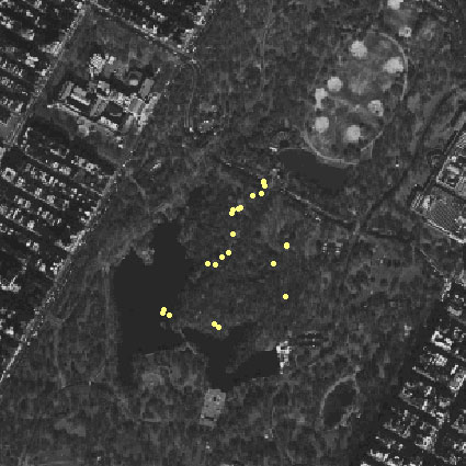 Central Park wildflowers map