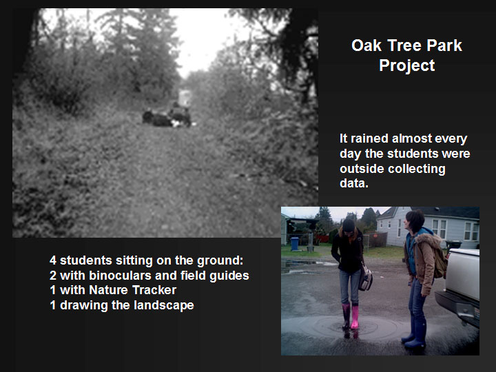 Oak Tree Project slide