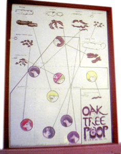 Oak Tree Scat Poster