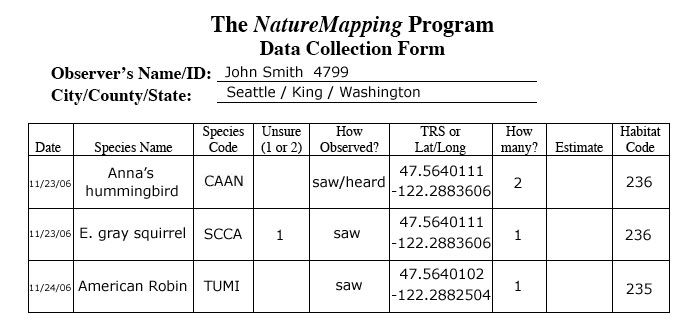 completed data collection form