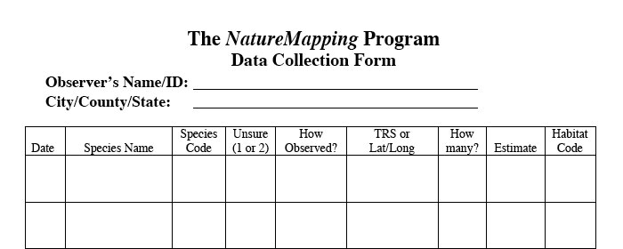sample data collection form