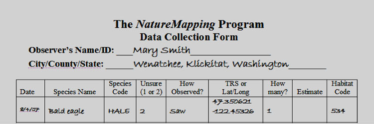 Data Collection Form - Protocol 10