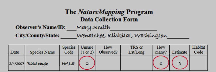 Data Collection Form - Protocol 5