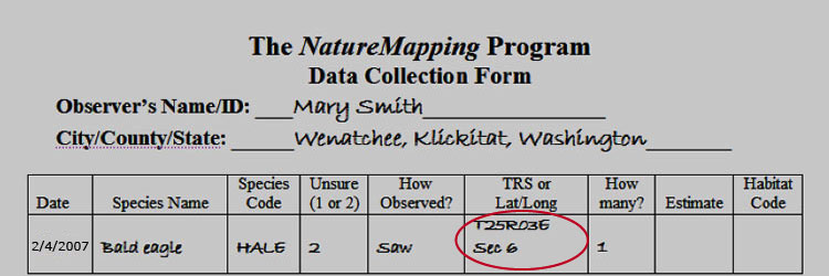 Data Collection Form - Protocol 8 TRS