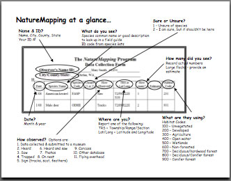 NM at a glance