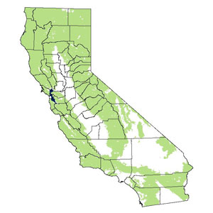distribution map