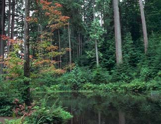 habitat photo