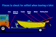 Where to check for water plants on car/boat