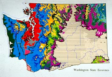 Large zone map