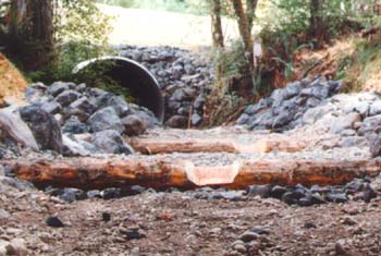 semi-arid

 wiers