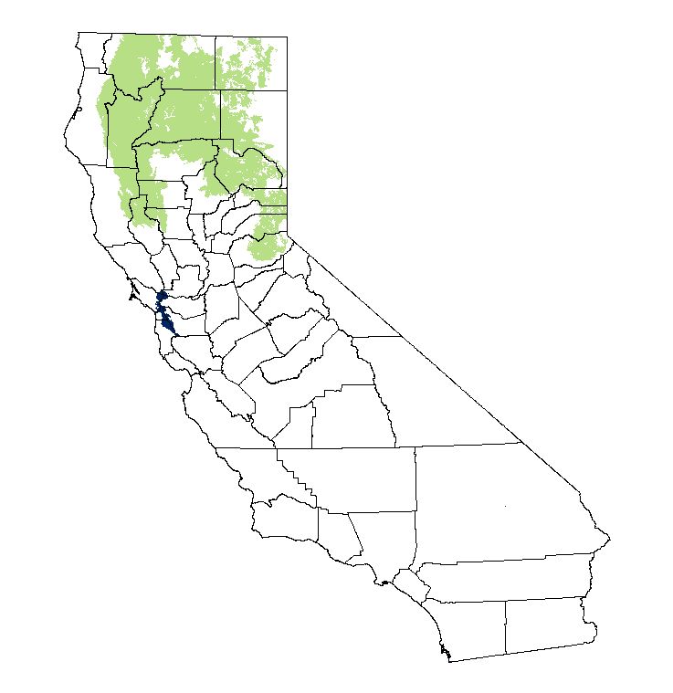 Range maps