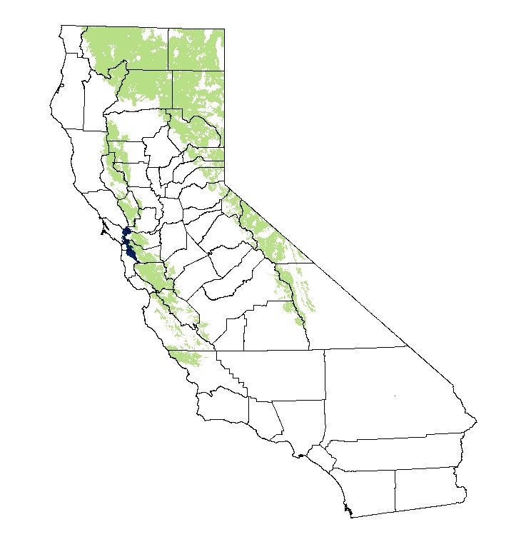 distribution map