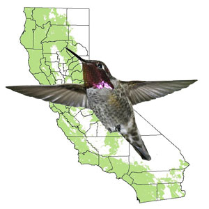 California Map