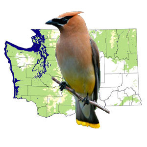 Washington Map