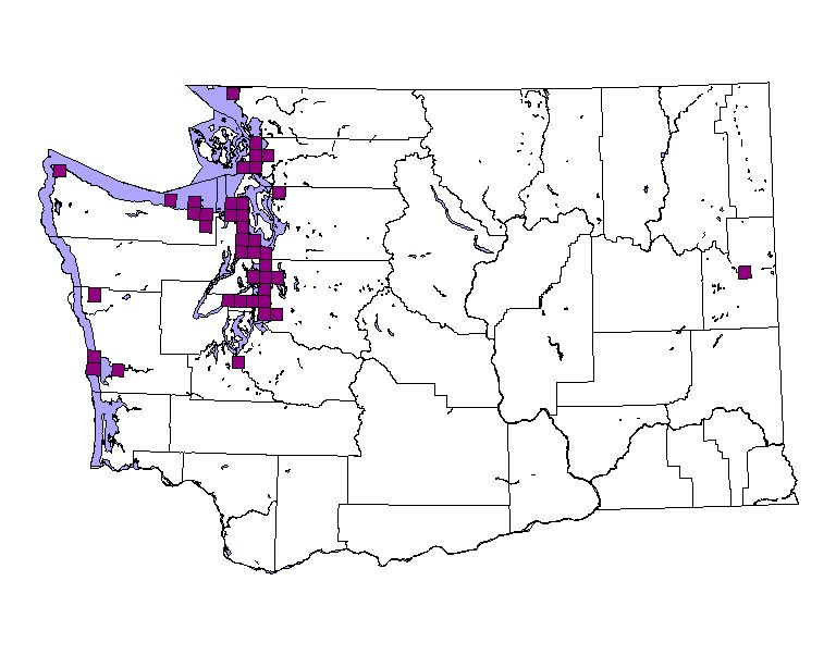 distribution map