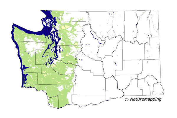 distribution map