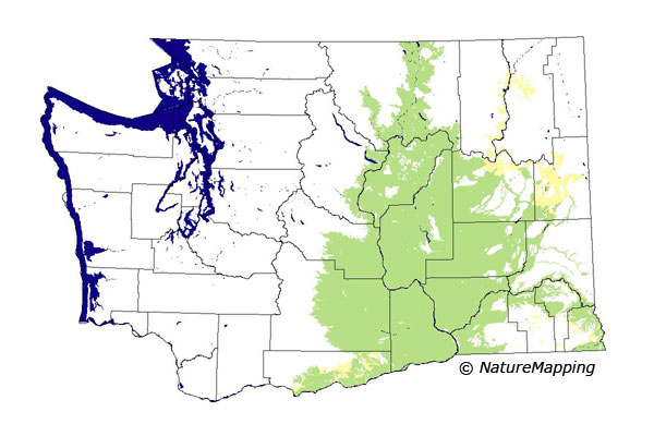 distribution map