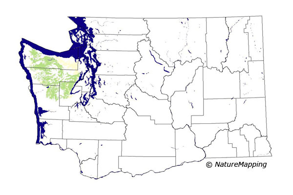Click to enlarge Range map