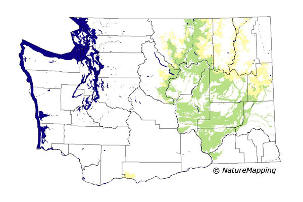 Click to enlarge Range map