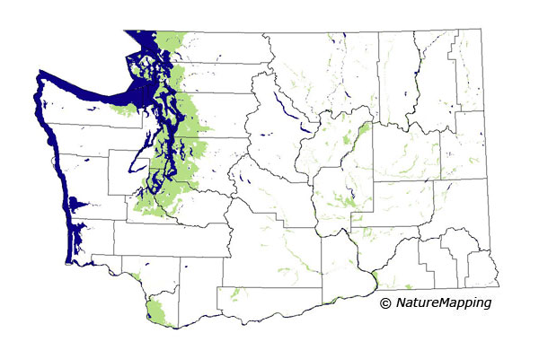 distribution map