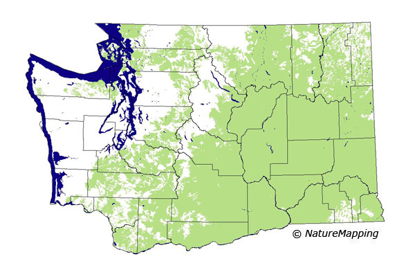 Click to enlarge Range map