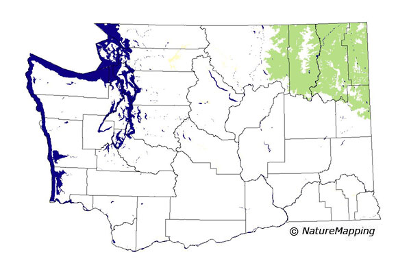 Click to enlarge Range map