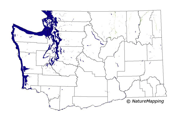 distribution map