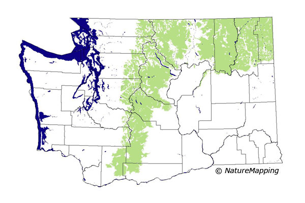 Click to enlarge Range map