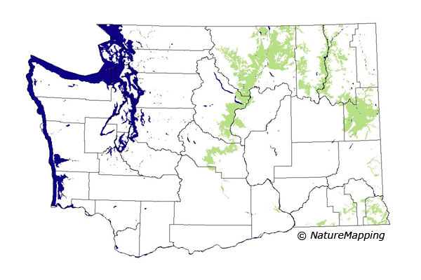 Click to enlarge Range map