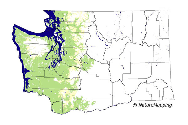 Click to enlarge Range map