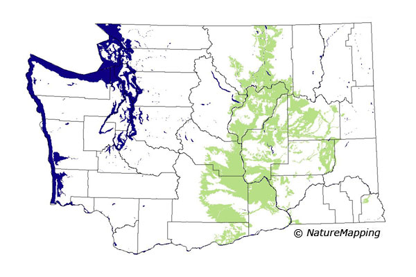 Click to enlarge Range map