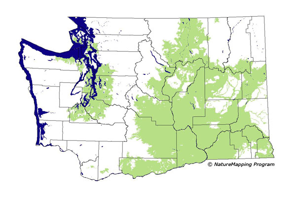 Click to enlarge Range map