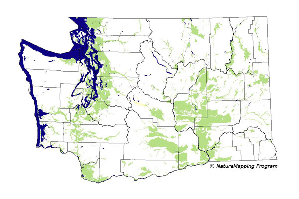 distribution map