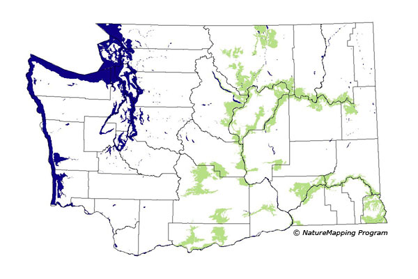 Click to enlarge Range map