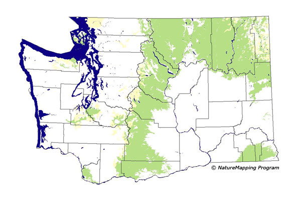 Click to enlarge Range map