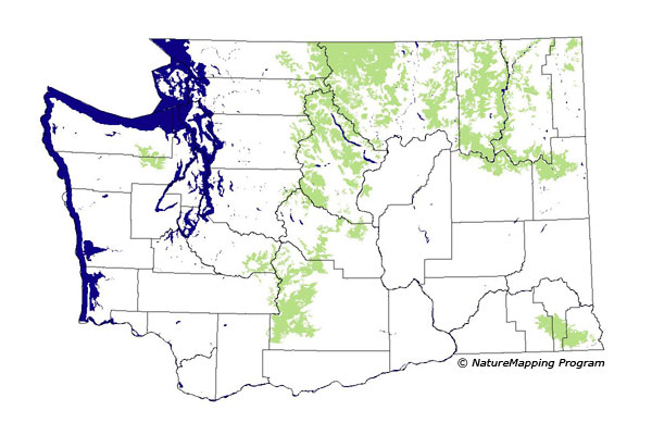 Click to enlarge Range map