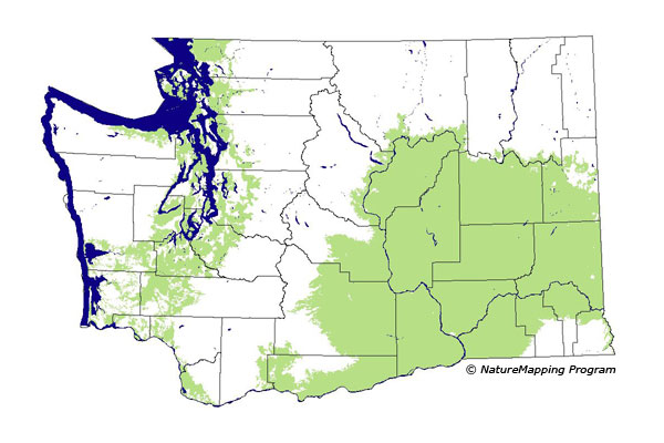 distribution map