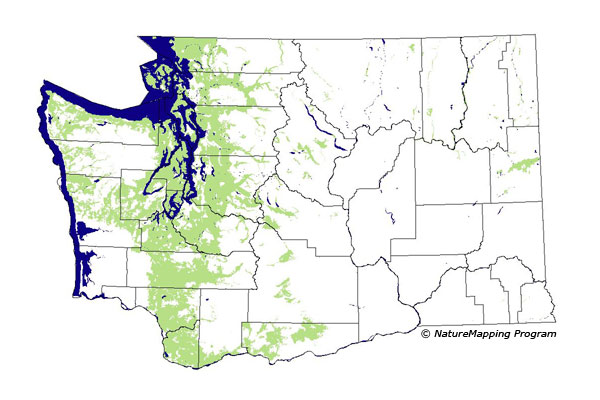distribution map