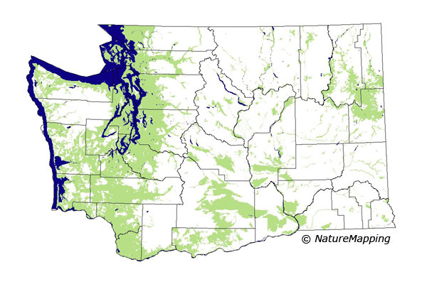 distribution map