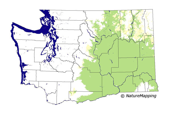 Click to enlarge Range map