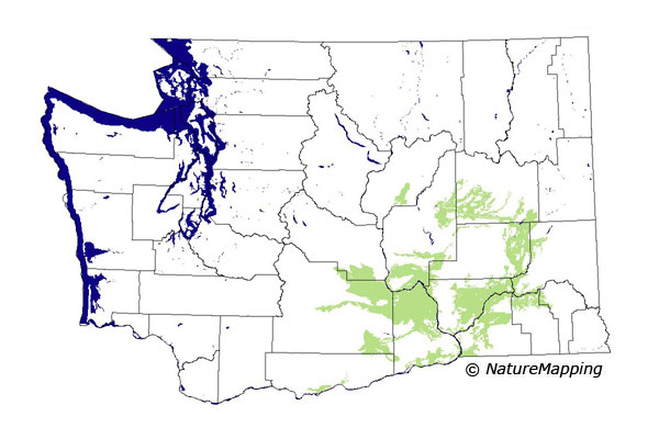 Click to enlarge Range map