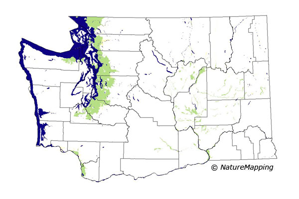 Click to enlarge Range map