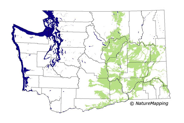 Click to enlarge Range map