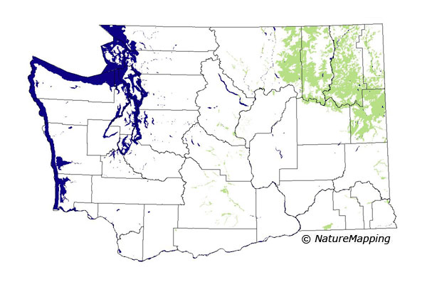 Click to enlarge Range map