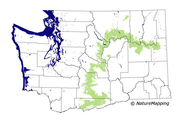 Click to enlarge Range map