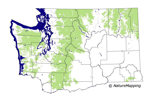 distribution map