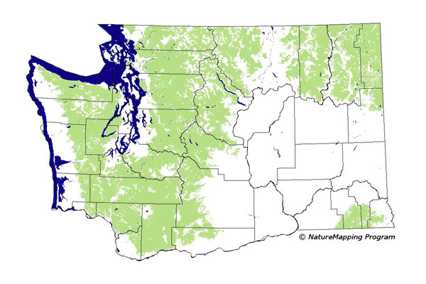 Click to enlarge Range map