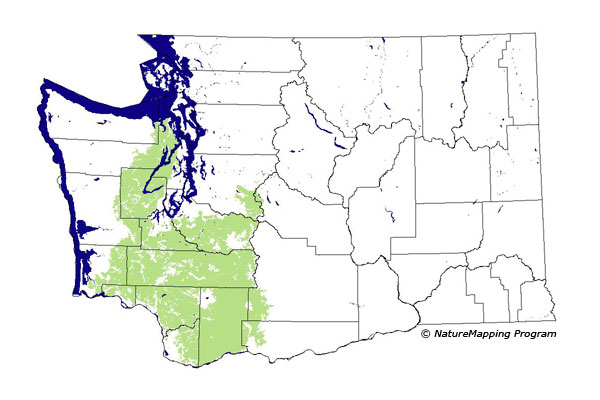 Click to enlarge Range map