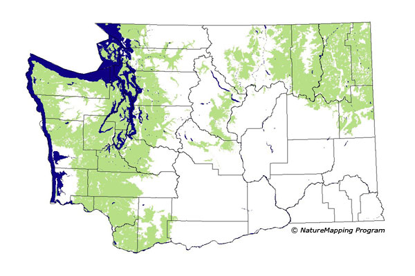 Click to enlarge Range map